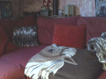 tanjamep 14-08-2021 Cam 